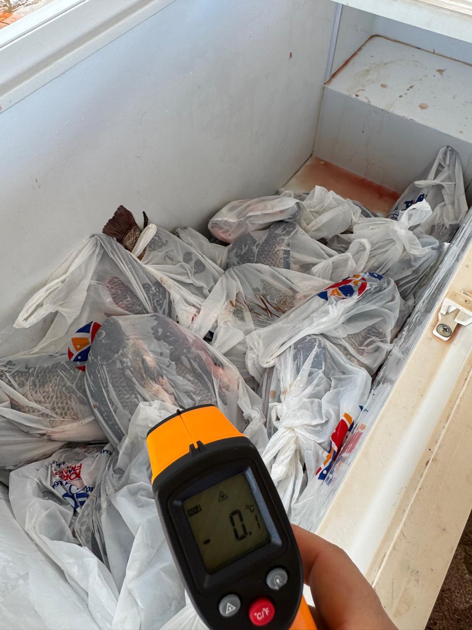 Prefeitura de Porto Franco realiza tradicional Programa “Peixe na Páscoa” e beneficia mais de...